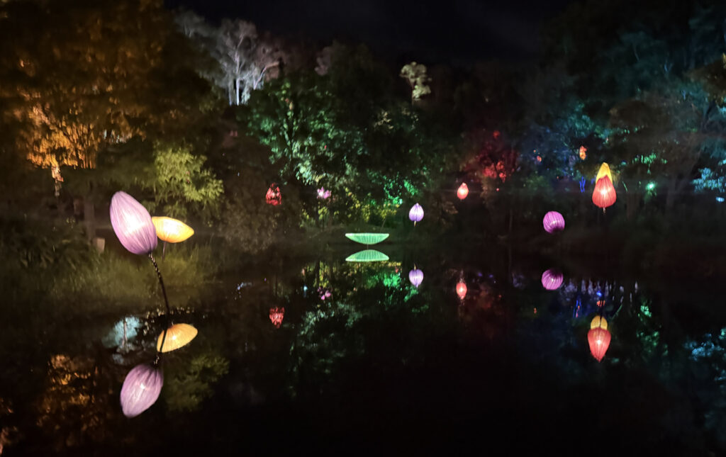 pond at the piano bar